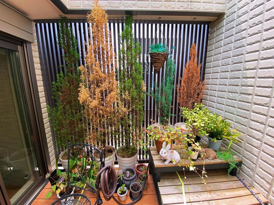 画像254